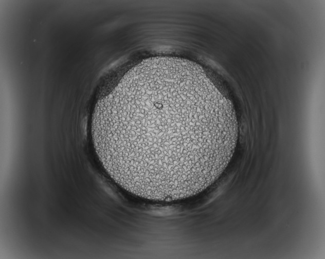 X0000084580454200703231847