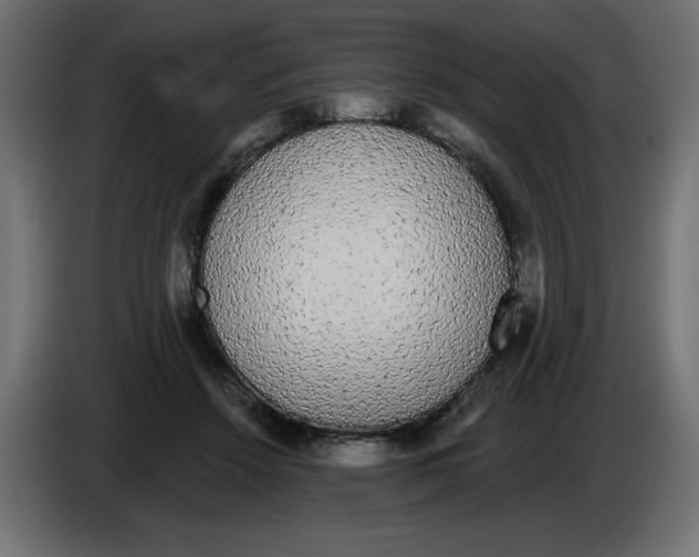 X0000084580456200703231847