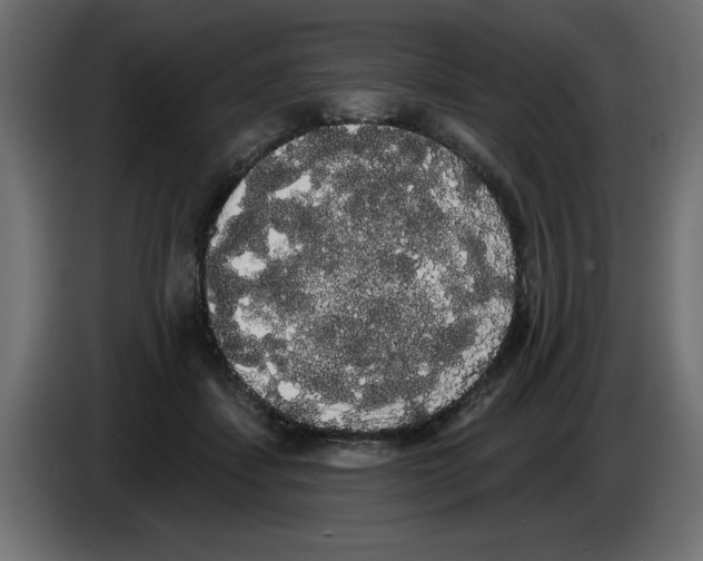 X0000084580459200703231847