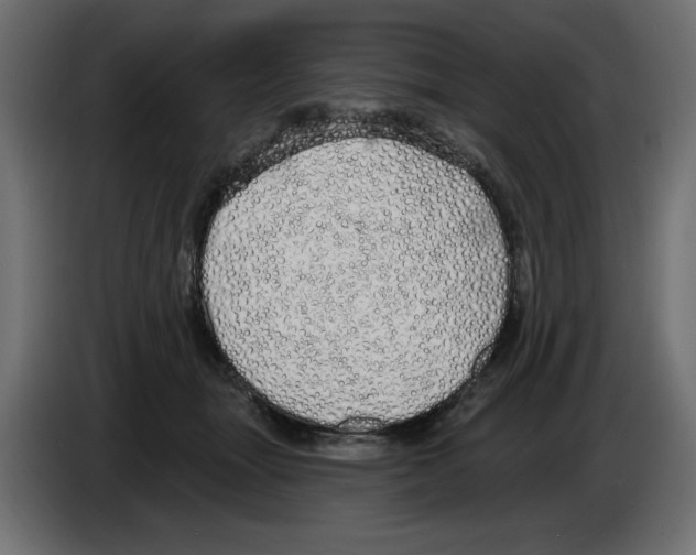 X0000084580463200703231847