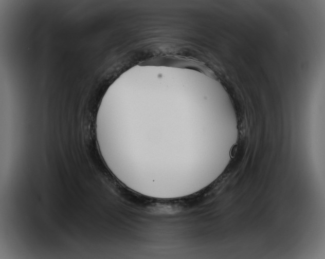 X0000084580464200703231847