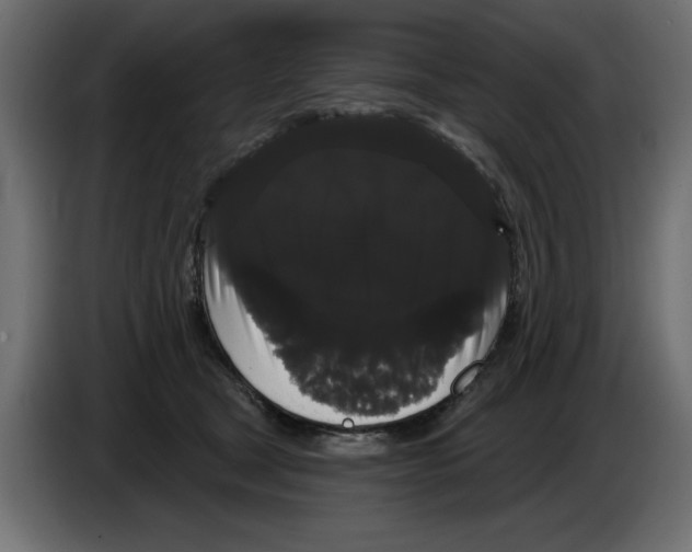 X0000084580465200703231847