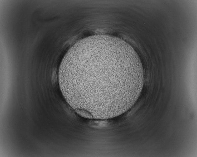 X0000084580478200703231847