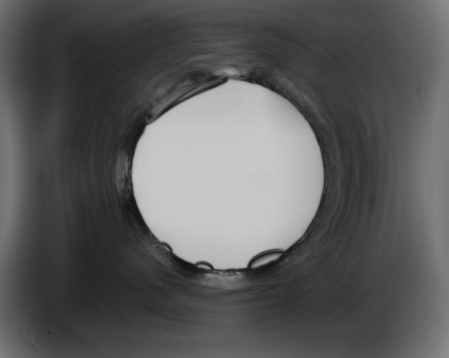 X0000084580480200703231847
