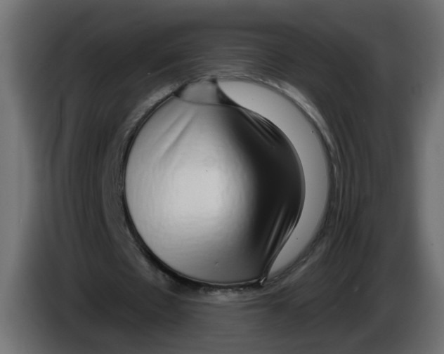 X0000084580481200703231846