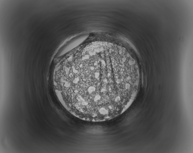 X0000084580483200703231846
