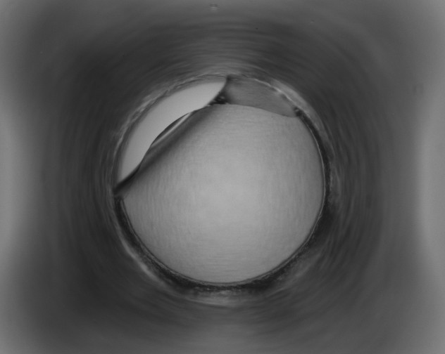 X0000084580485200703231846