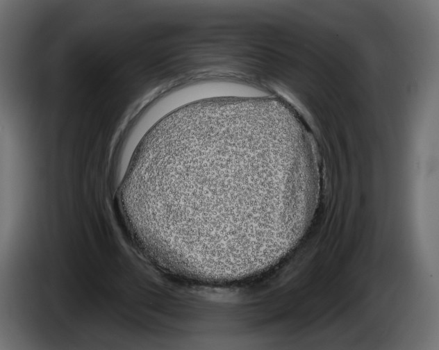 X0000084580486200703231846