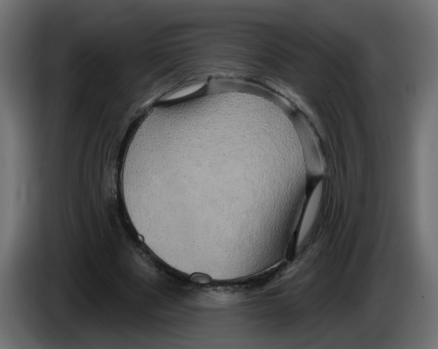X0000084580489200703231846