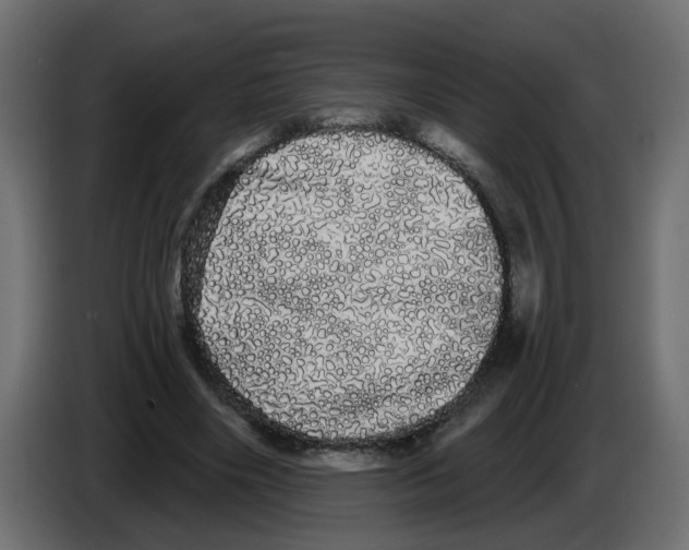 X0000084580490200703231846