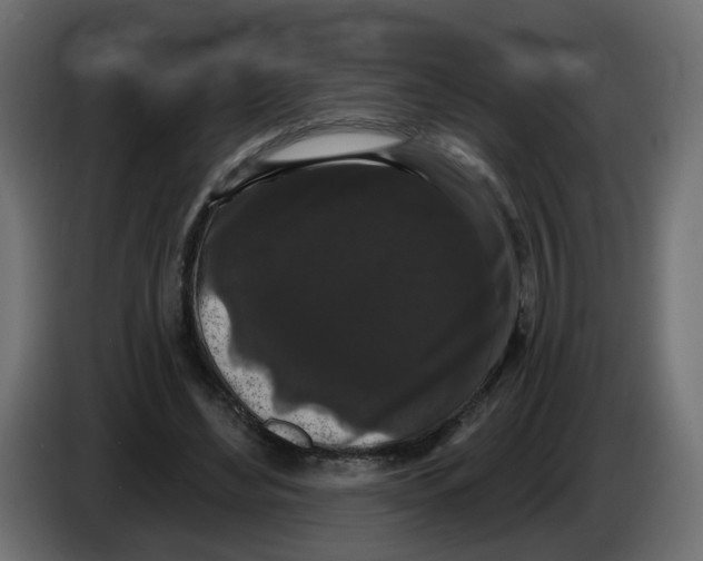 X0000084580492200703231846