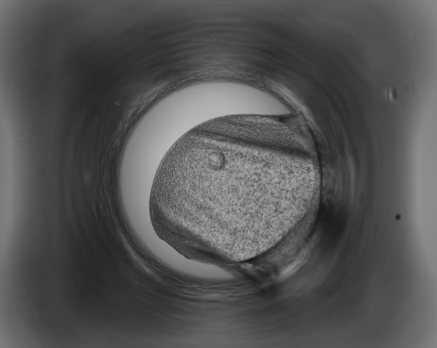 X0000084580493200703231846