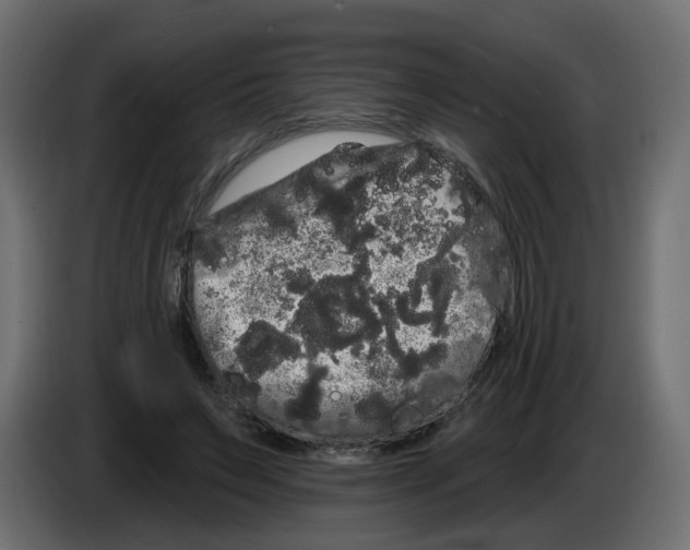 X0000084580495200703231846