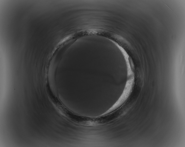 X0000084580496200703231846