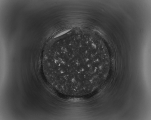 X0000084580499200703231846