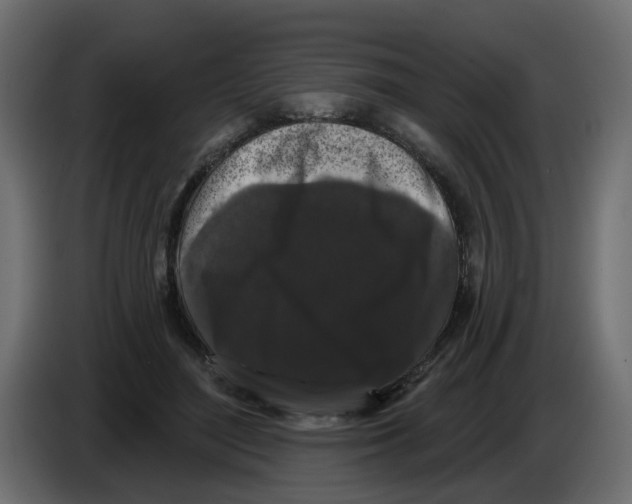X0000084580500200703231846