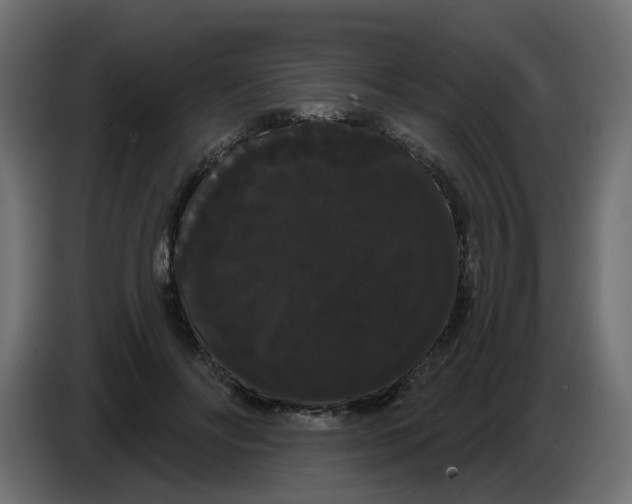 X0000084580502200703231846