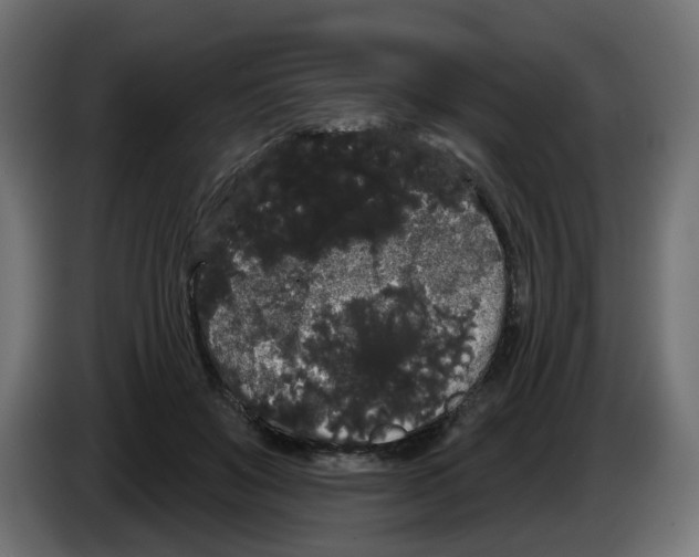 X0000084580503200703231846