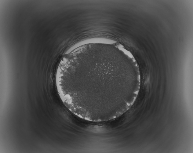 X0000084580506200703231846