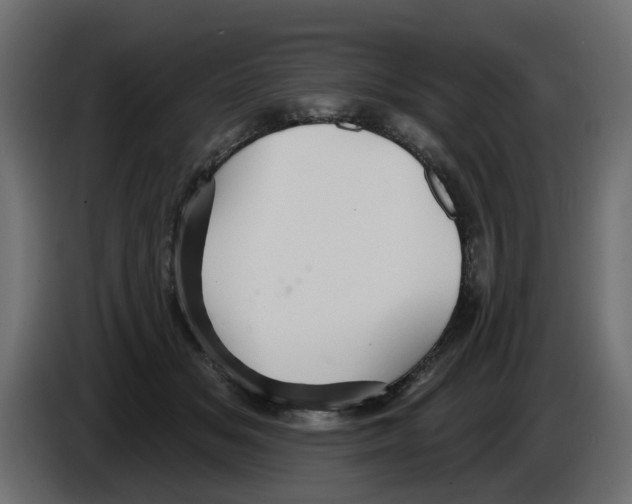 X0000084580509200703231846