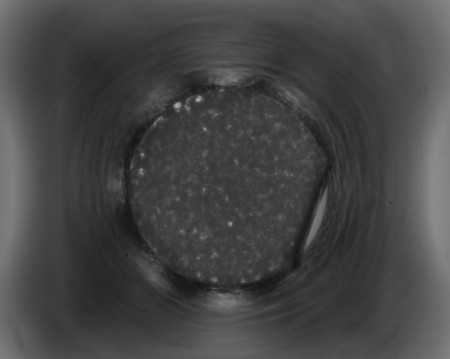 X0000084580510200703231846