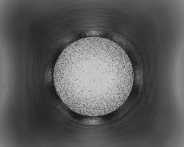 X0000084580514200703231846
