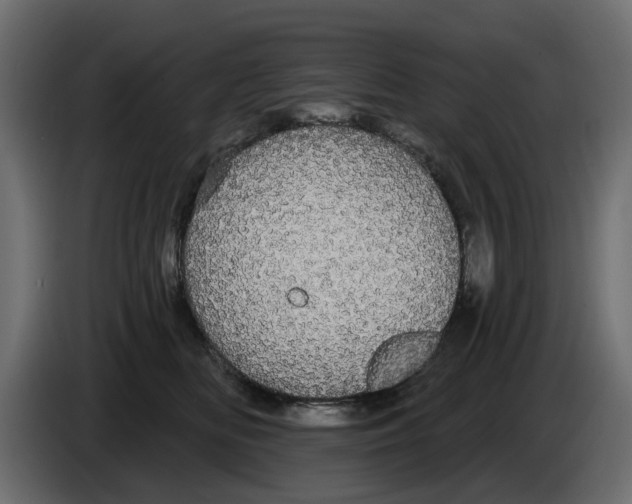 X0000084580518200703231846