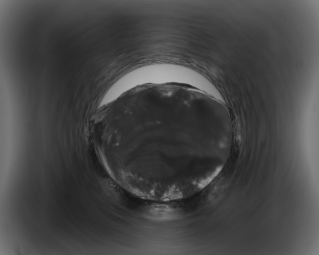 X0000084580519200703231846
