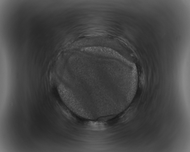 X0000084580520200703231846
