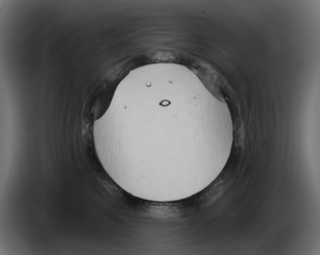 X0000084580521200703231846