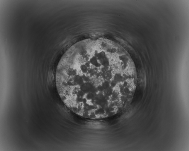 X0000084580523200703231846