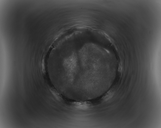 X0000084580524200703231846