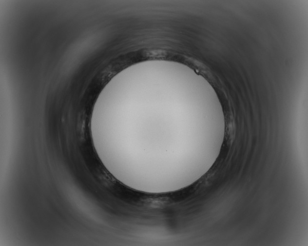 X0000084580525200703231846