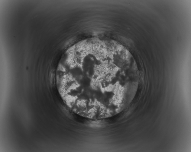 X0000084580527200703231846