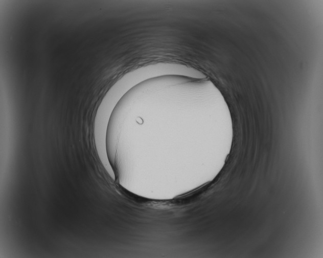 X0000084580528200703231846