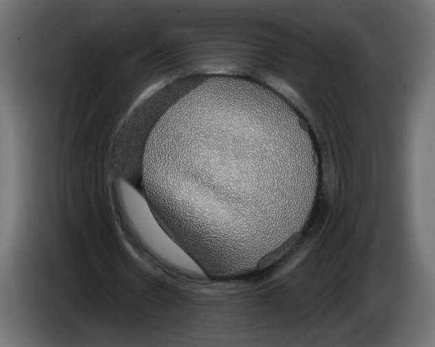 X0000084580530200703231845
