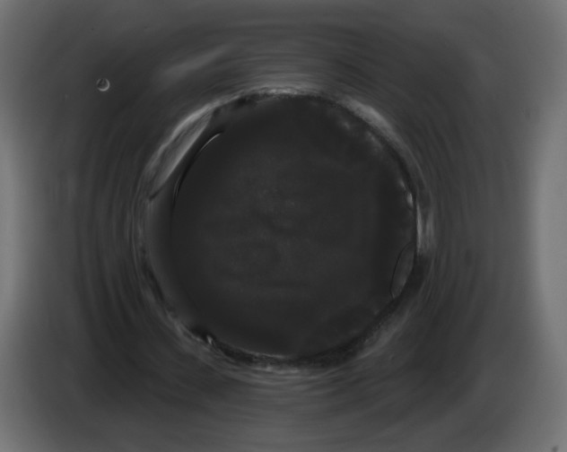 X0000084580531200703231845