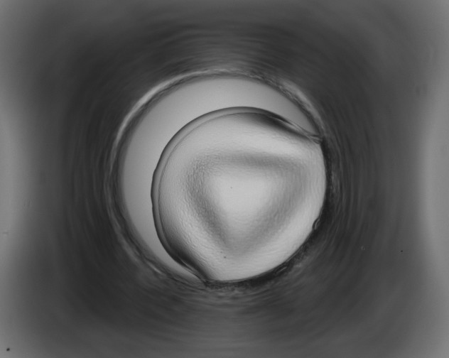 X0000084580532200703231845