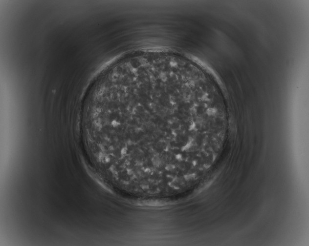 X0000084580533200703231845