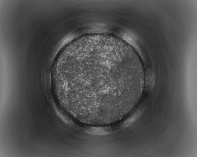 X0000084580534200703231845
