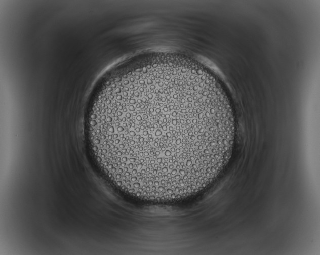 X0000084580535200703231845
