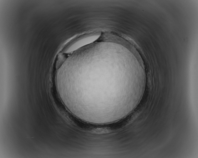 X0000084580536200703231845
