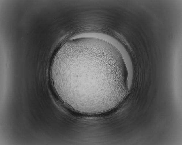 X0000084580538200703231845