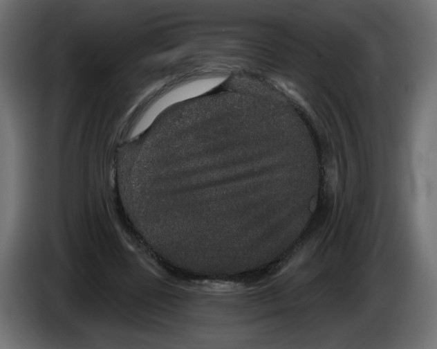 X0000084580539200703231845