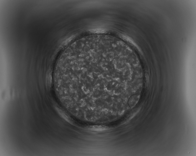 X0000084580541200703231845