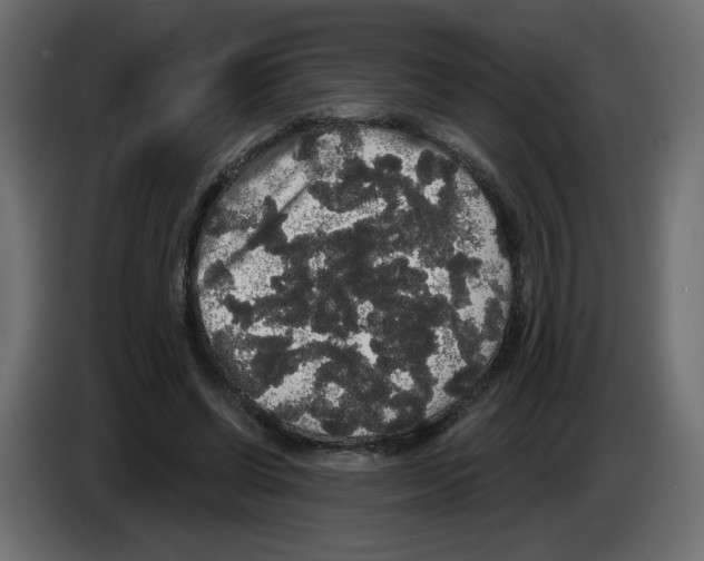 X0000084580542200703231845