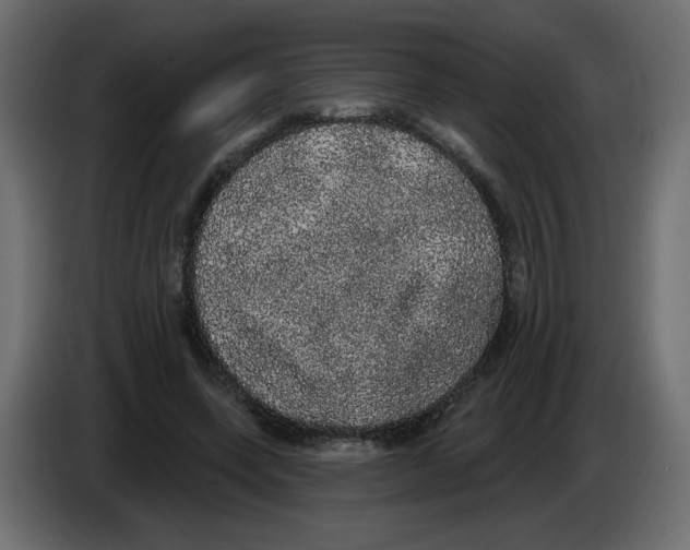 X0000084580543200703231845