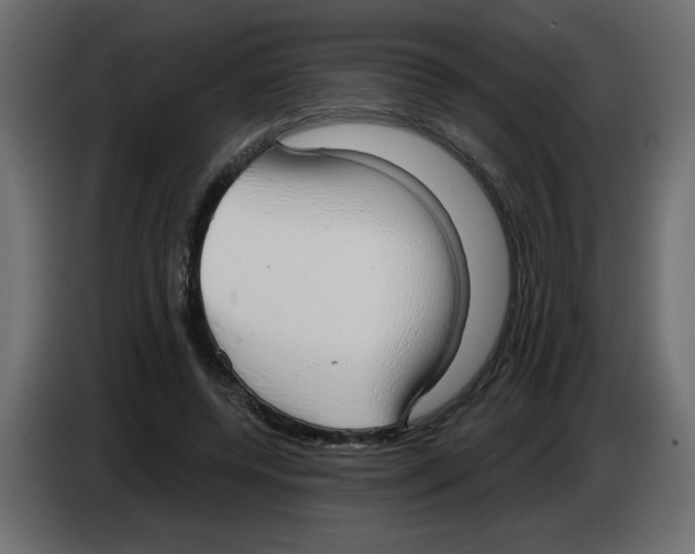 X0000084580544200703231845