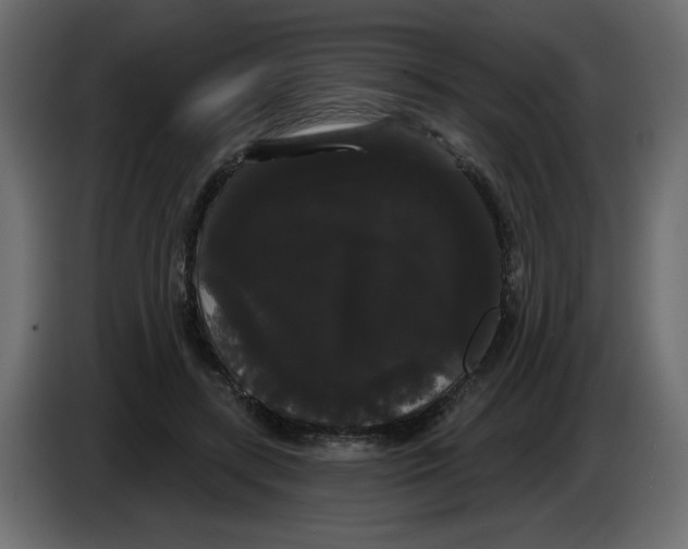 X0000084580547200703231845