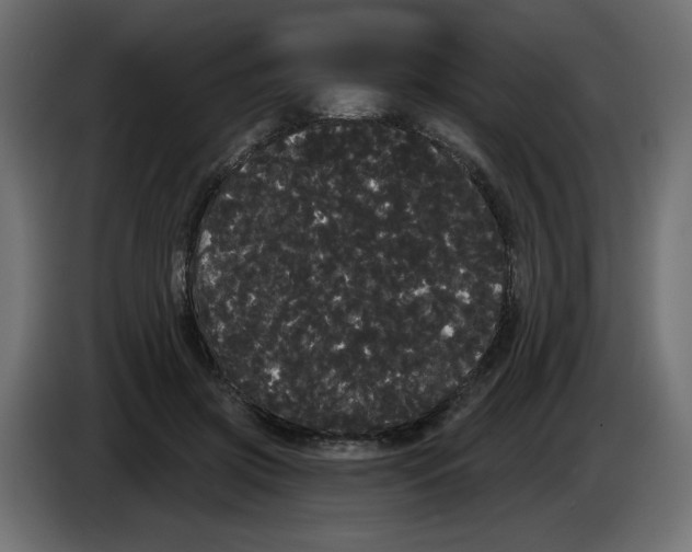 X0000084580549200703231845